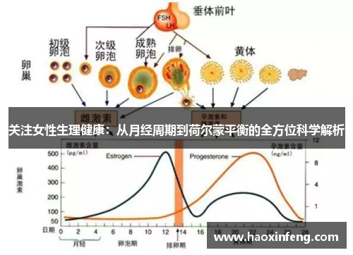 关注女性生理健康：从月经周期到荷尔蒙平衡的全方位科学解析